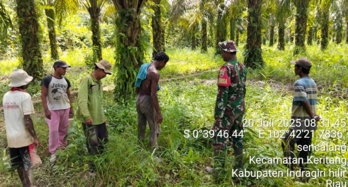 Mencegah Karhutla: Babinsa Koramil 09/KMG Laksanakan Patroli di Wilayah Desa Sencalang