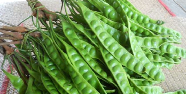 Penggemar Wajib Tahu, Ini Cara Menyimpan Petai Agar Tahan Lama, Bisa Sampai Setahun