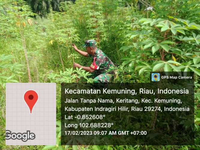 Koramil 09/Kemuning Tetap Jaga Pertahanan Pangan di Wilayah