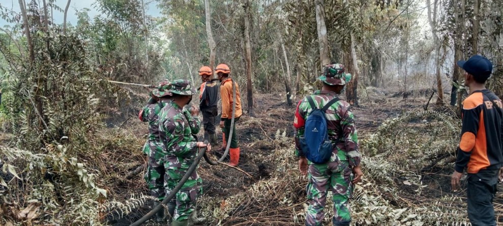 Tim Gabungan dan Koramil 03/Tempuling Terus Berjuang Padamkan Titik Api di Desa Bayas Jaya