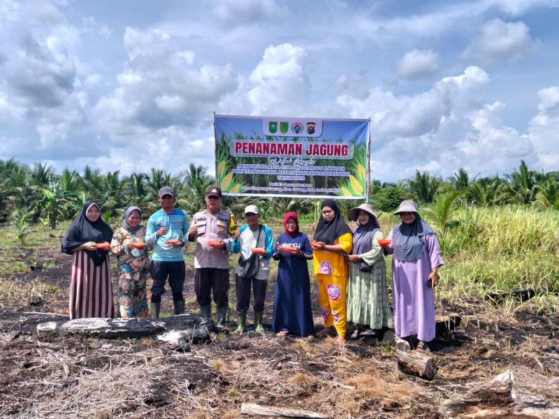 Senin di Kuala Lahang: Camat Fauziah dan Kapolsek Edi Dalianto Tanam Jagung, Inhil Ikut Jaga Lumbung Pangan 2026