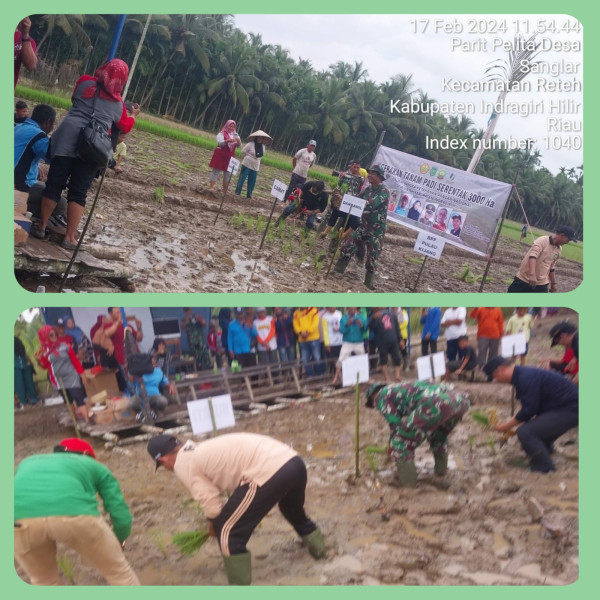Dalam Rangka Hanpangan Nasional, Danramil 07/Reteh Giat Lakukan Gerakan Tanam Padi