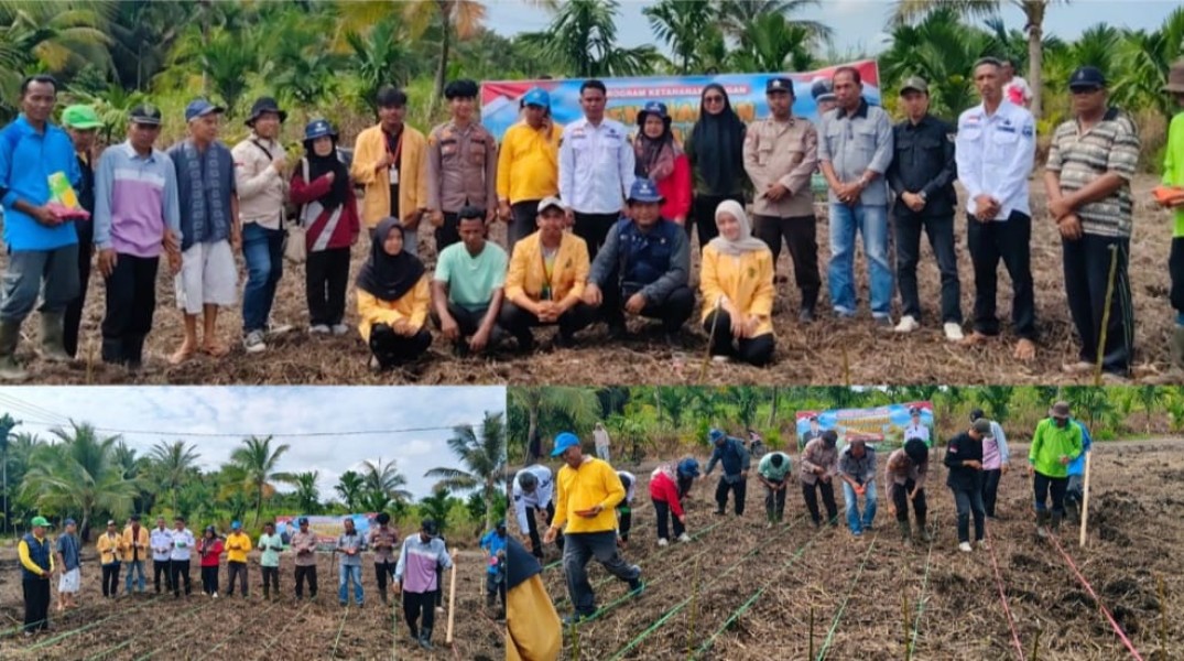 Polsek Gaung Gelar Penanaman Jagung Guna Dukung Program Asta Cita