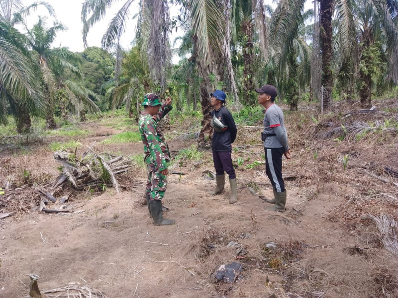 Upaya Lahan dan Hutan Terus Terjaga, Babinsa Koramil 04/Kuindra Rutin Pantau Karhutla