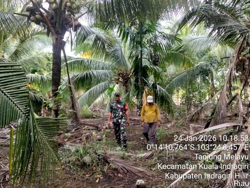 TNI dan Masyarakat Bersinergi Jaga Tapal Batas dan Cegah Karhutla di Tanjung Melayu