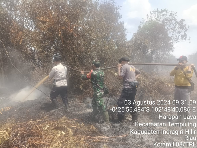 Personel Koramil 03/Tpl Lakukan Pendinginan Karhutla, Upaya Lanjutan Setelah Kebakaran
