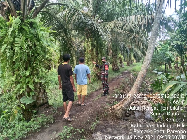 Babinsa Koramil 03/Tempuling Sertu Paryono Lakukan Patroli Karlahut