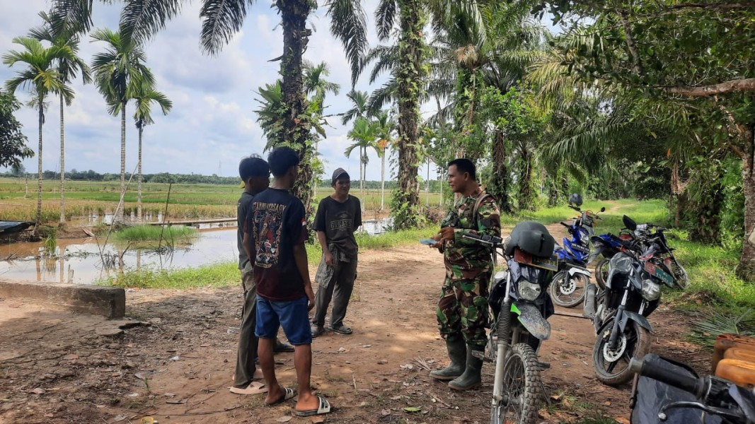 Komsos di Sawah, Babinsa Serma Damrianto Jalin Silaturahmi dengan Tokoh Pemuda dan Petani