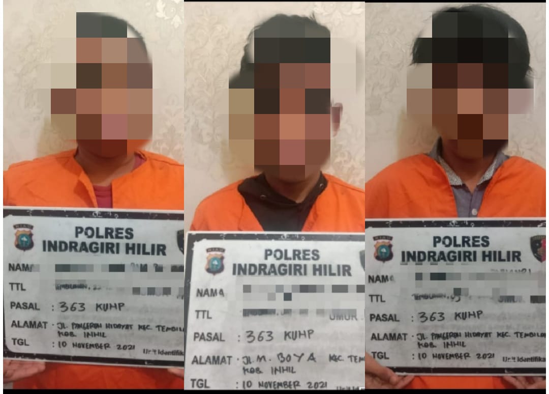 3 Pelaku Curanmor Berhasil Diringkus Polres Inhil