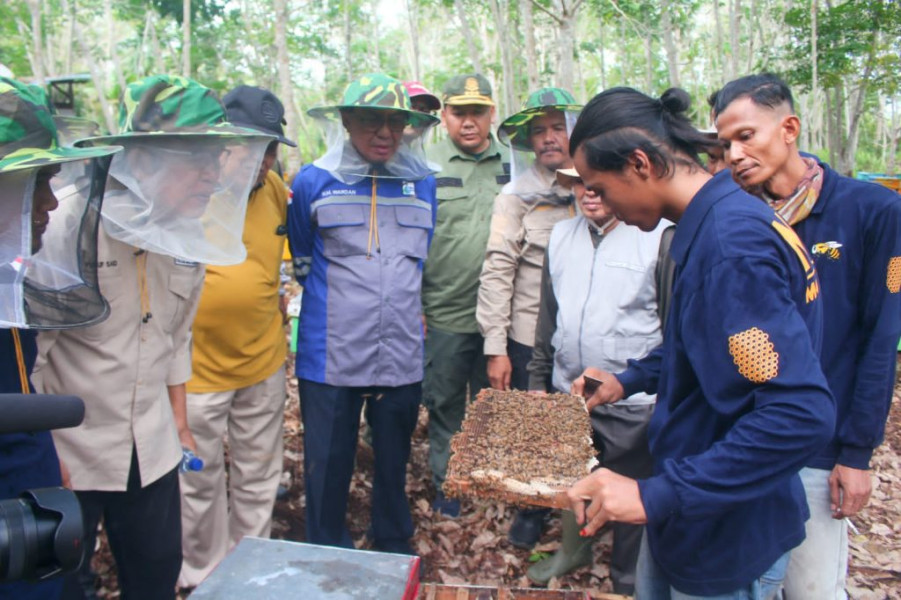 Budidaya Madu lebah didesa harapan jaya Menjadi Perhatian Bupati Inhil H.M.Wardan