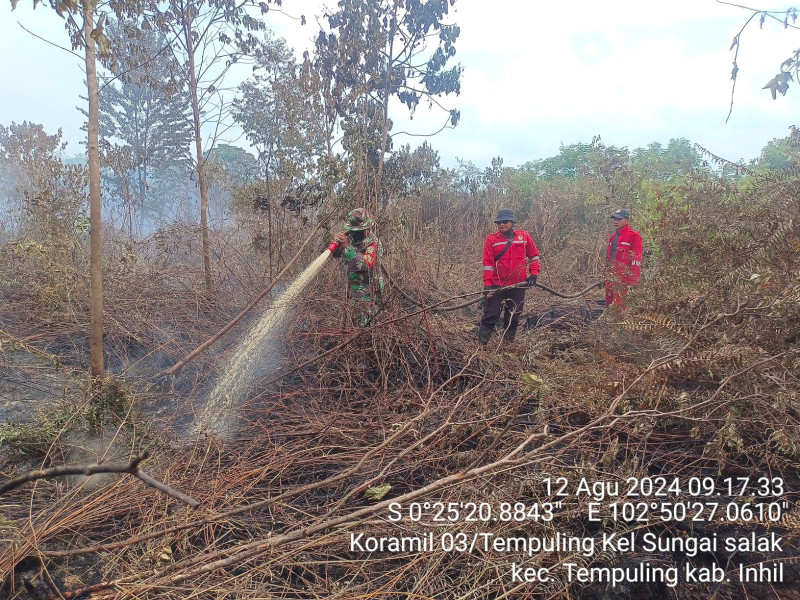 Personel Koramil 03/Tpl Dan Tim Gabungan Terus Berjuang Lakukan Pendinginan Lahan di Teluk Kiambang