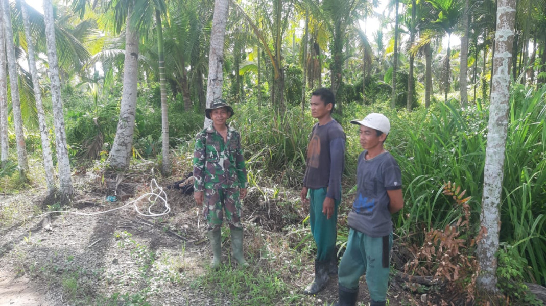 Antisipasi Kebakaran, Babinsa Serda Ramli Giat Lakukan Patroli Karhutla