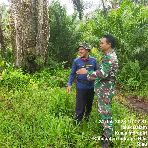 Babinsa Koramil 04/Kuindra Sampaikan Kepada Masyarakat Untuk Tetap Jaga Hutan dan Lahan