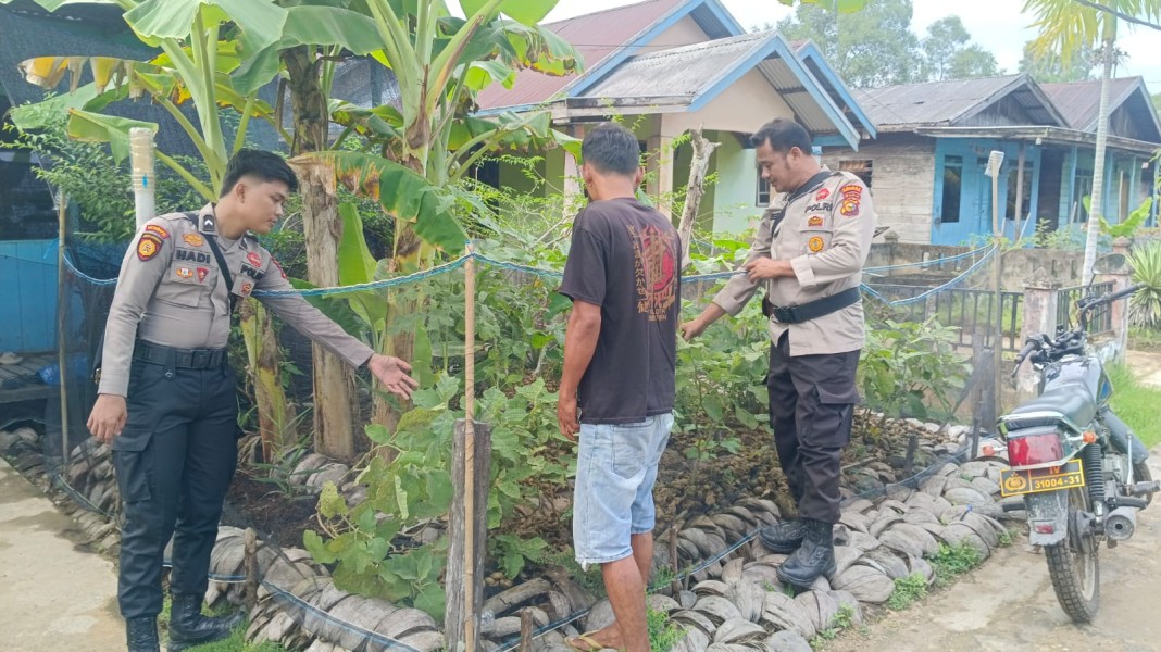 Polsek Enok Gaspol Ketahanan Pangan, Apresiasi Warga Lr Baru yang Tanam Kunyit dan Serai di Pekarangan