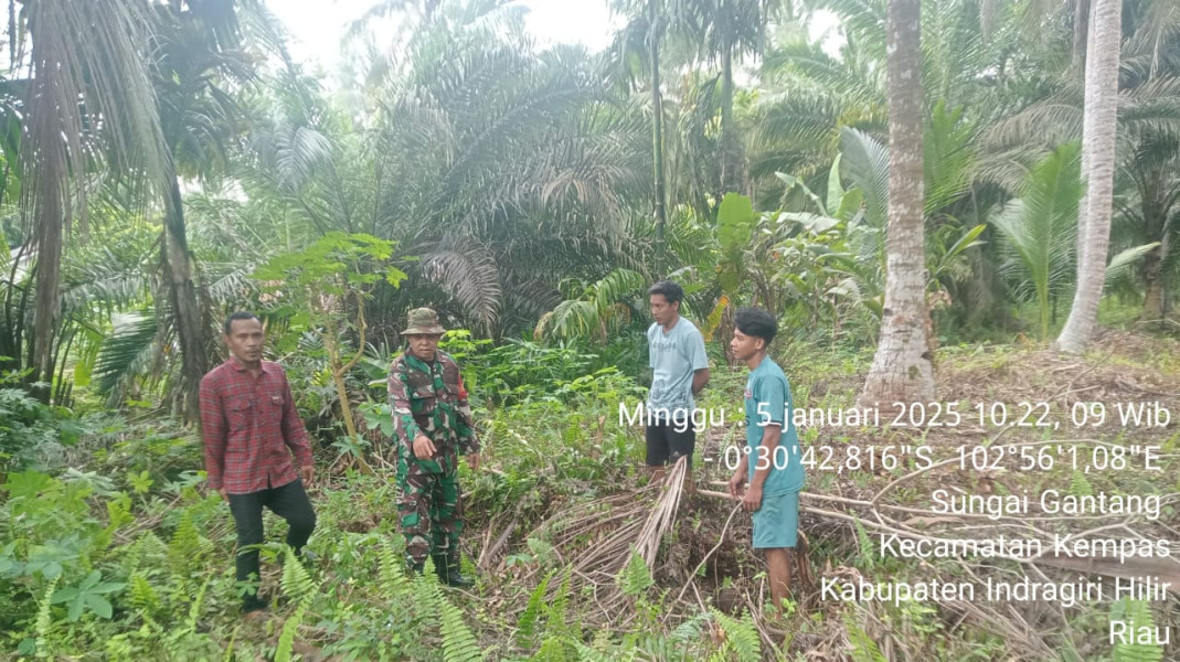 Patroli Babinsa Efektif Cegah Karhutla Di Wilayah Binaan Koramil 03/Tpl
