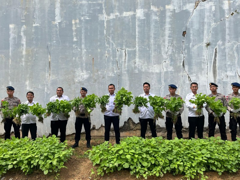 Sinergi Dalam Mendukung Ketahanan Pangan, Rutan Batam Laksanakan Panen Raya Sayur dan Penanaman Bibit Jagung Bersama Satbrimob Polda Kepri Sinergi Dalam Mendukung Ketahanan Pangan, Rutan Batam Laksanakan Panen Raya Sayur dan Penanaman Bibit Jagung Bersama Satbrimob Polda Kepri