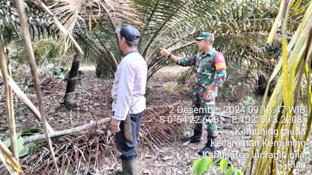 Babinsa Koramil 09/Kemuning Himbau Masyarakat Untuk Terus Pantau Lahan dan Hutan Agar Hindari Kebakaran