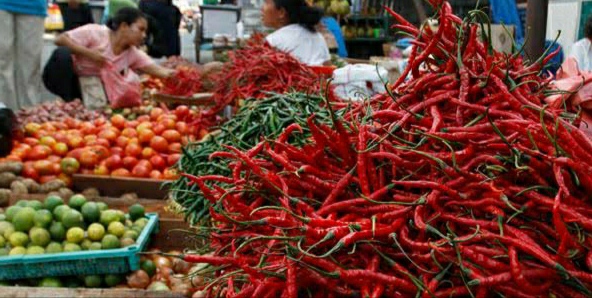 Alami Kenaikan di Pasar Tembilahan, Cabe Ini Mahal Namun Banyak Diburu 