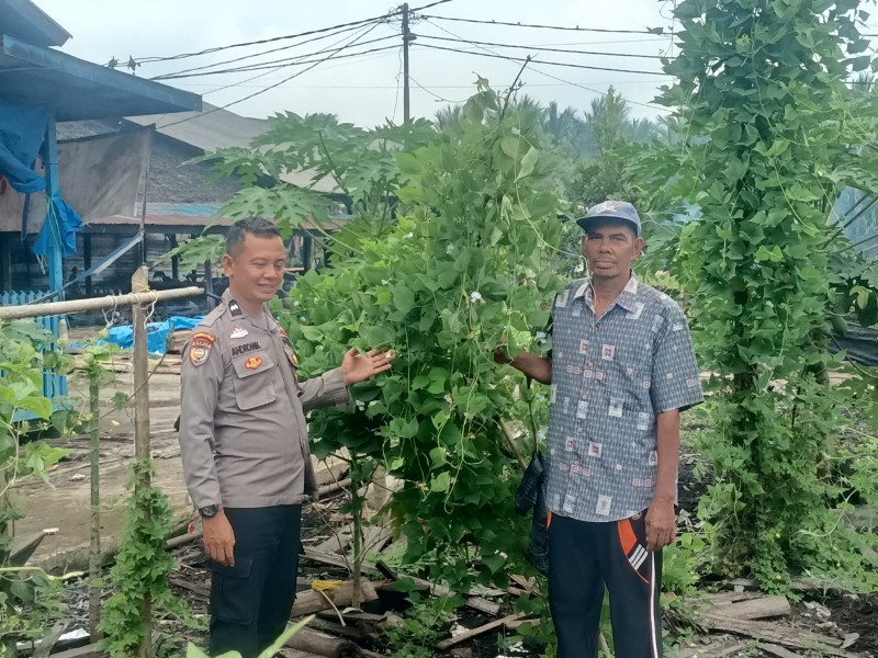 Bhabinkamtibmas Polsek Gas Cek Kebun Kacang Panjang Dan Terong Warga Teluk Sungka
