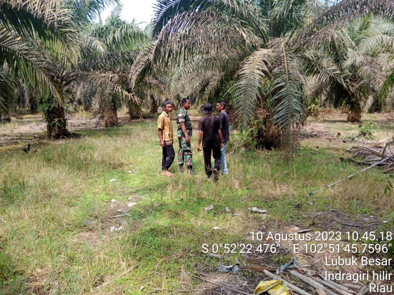Pencegahan Kebakaran Lahan dan Hutan Terus Dilakukan Babinsa Koramil 09/Kemuning