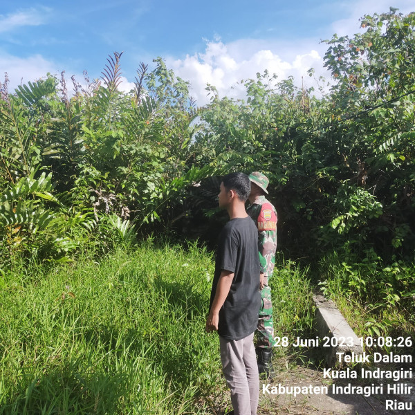 Memasuki Musim Kemarau, Babinsa Koramil 04/Kuindra Terus Pantau Karhutla