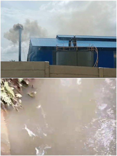 Baru Lagi Beroperasi Sudah Resahkan Warga, Limbah PKS BCL Diduga Cemari Lingkungan Juga Ditemukan Ikan Mati Dialiran Sungai Kecil