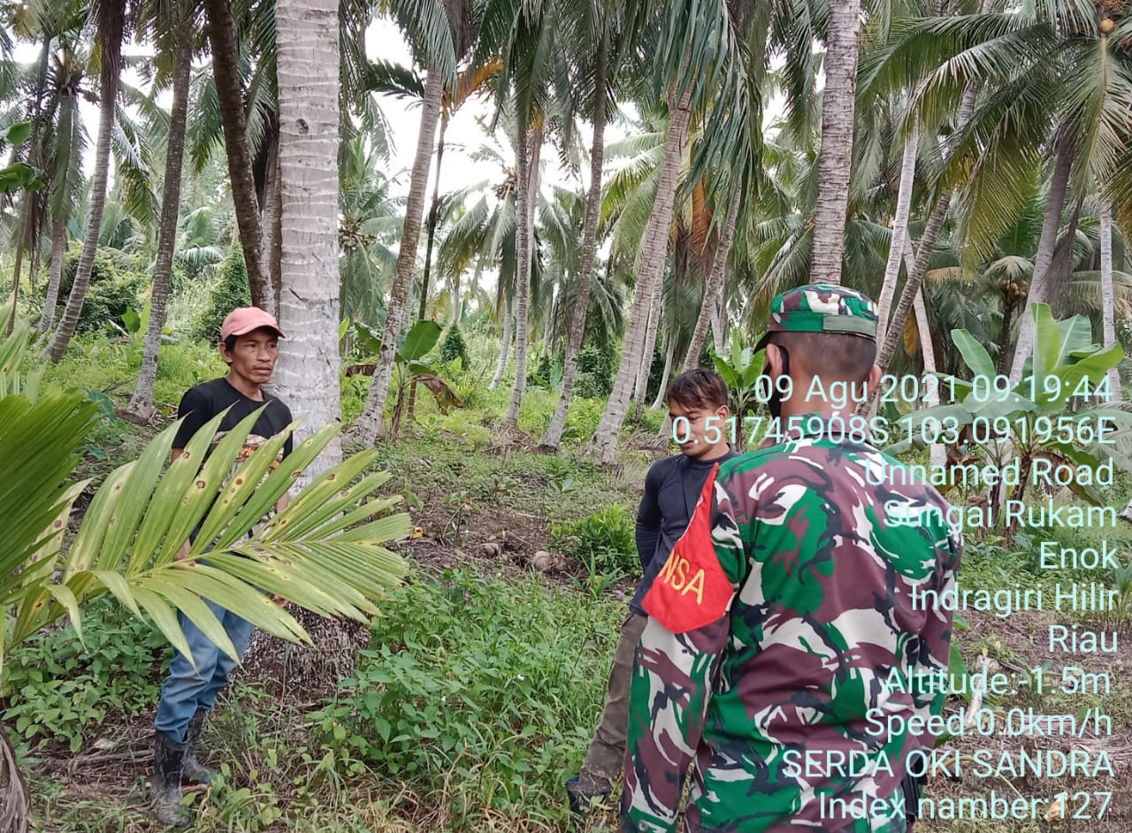 Babinsa 02/Tanah Merah Lakukan Patroli Karhutla di Daerah Perbatasan Sungai Rukam