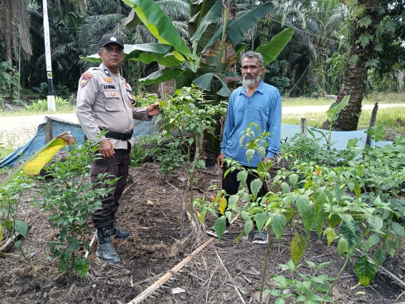 Polsek Kemuning Dorong Warga Manfaatkan Pekarangan, Swasembada Dimulai Dari Rumah