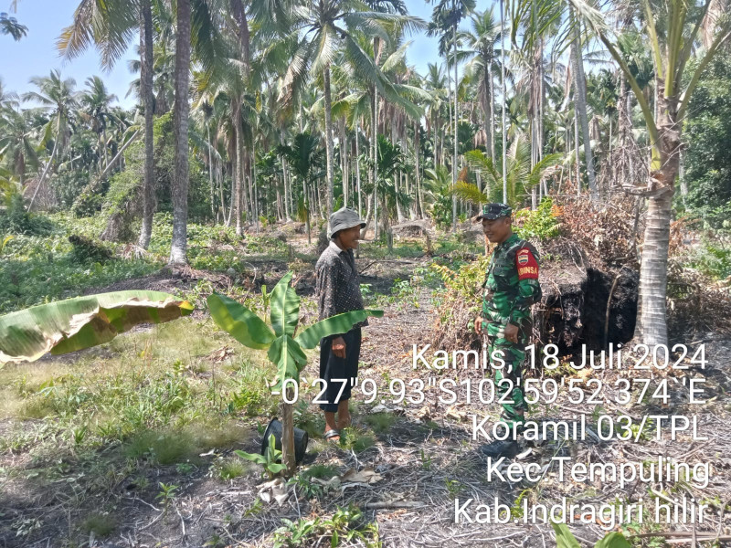 Babinsa Koramil 03/Tpl Tingkatkan Patroli Karlahut Secara Rutin Sekaligus Sosialisasi
