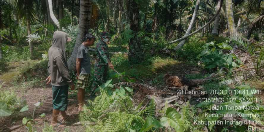 Meskipun Cuaca Sering Hujan, Babinsa Koramil 03/Tpl Tetap Lakukan Patroli