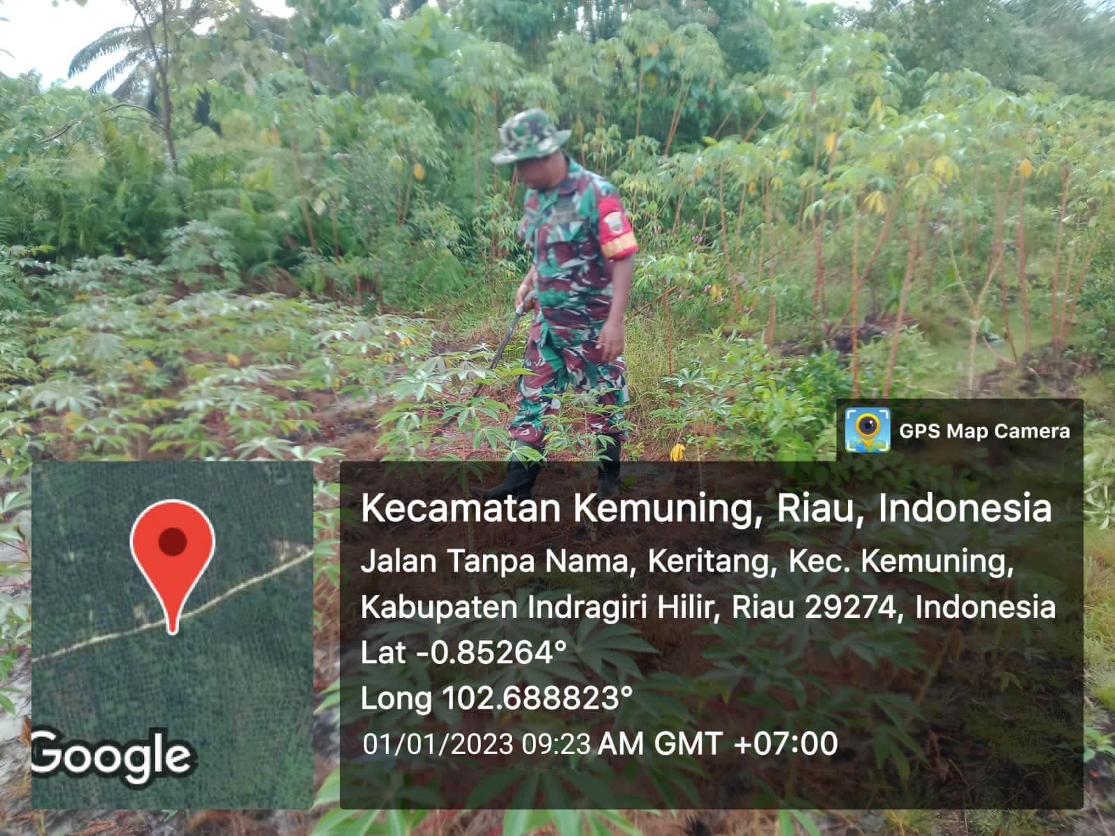 Babinsa Koramil 09/Kemuning Terus Lakukan Penyiapan Rumput dan Pembersihan Gulma