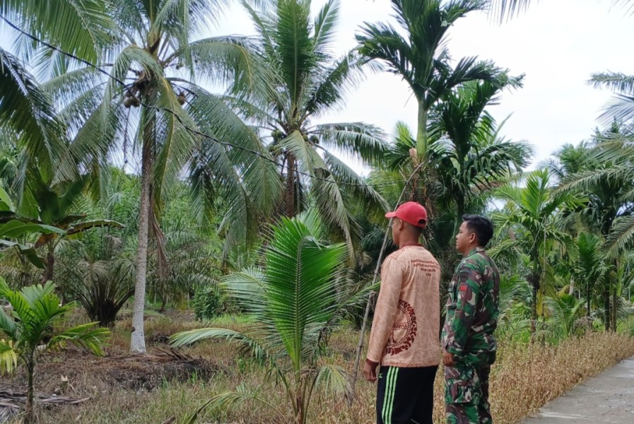 Babinsa 05/Gas Pratu Riky Sormin Lakukan Patroli Tapal Batas