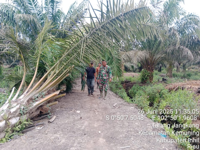 Patroli Karhutla di Desa Talang Jangkang: Babinsa dan Masyarakat Bersinergi untuk Mengantisipasi Kebakaran Hutan dan Lahan