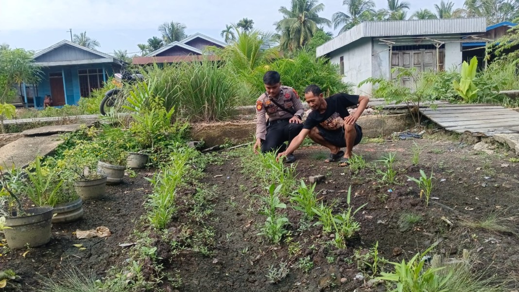 Dari Pekarangan Jalan Murni, Polsek Enok Ajak Warga Tanam Sayur, Kunyit, dan Serai untuk Ketahanan Pangan