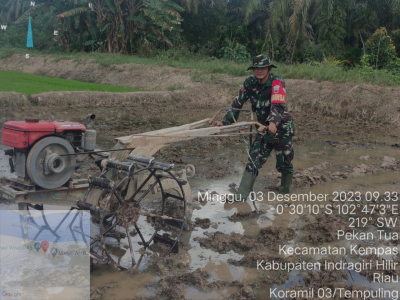 Tak Kenal Hari Libur, Babinsa Koramil 03/Tpl Bantu Petani Bajak Sawah