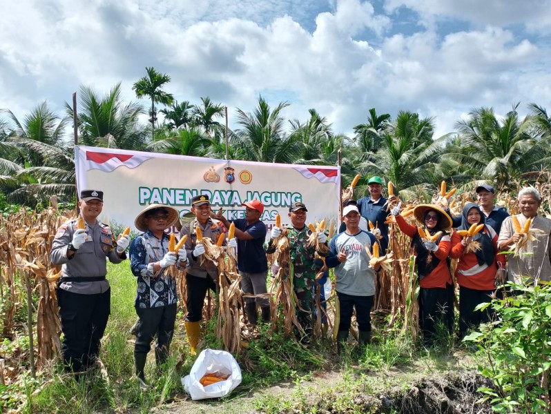 BABINSA SERKA N. SIPAYUNG BANTU REALISASIKAN PANEN RAYA JAGUNG BUMDES, PERKUAT KETAHAHAN PANGAN DESA SUNGAI ARA