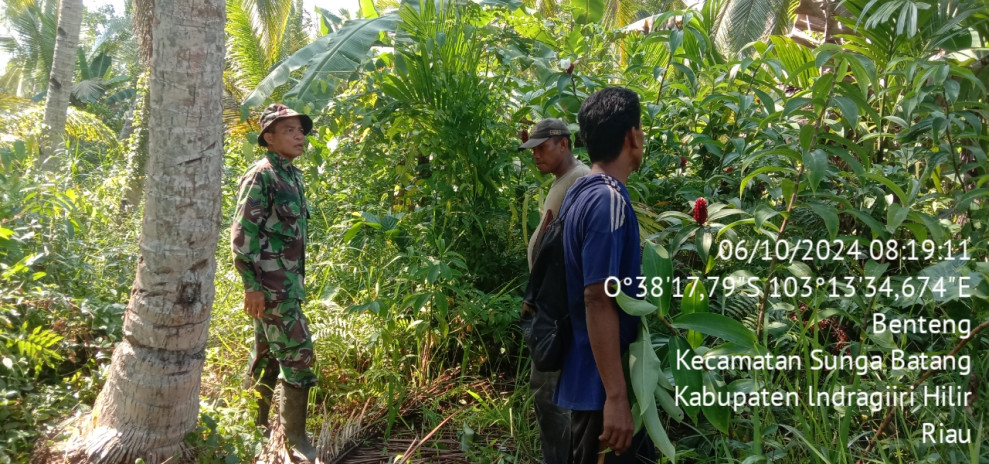 Giat Patroli Karhutla, Babinsa Koramil 07/Reteh Telusuri Hutan dan Lahan Warga