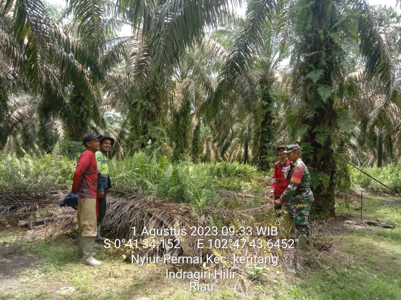 Babinsa Koramil 09/Kemuning Cegah Lahan dan Hutan Agar Tidak Terjadi Kebakaran