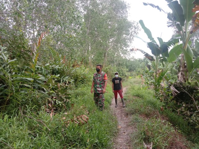 Himbau Masyarakat Untuk Patroli Rutin Guna Cegah Kebakaran Oleh Serda Ali Borkat Harahap