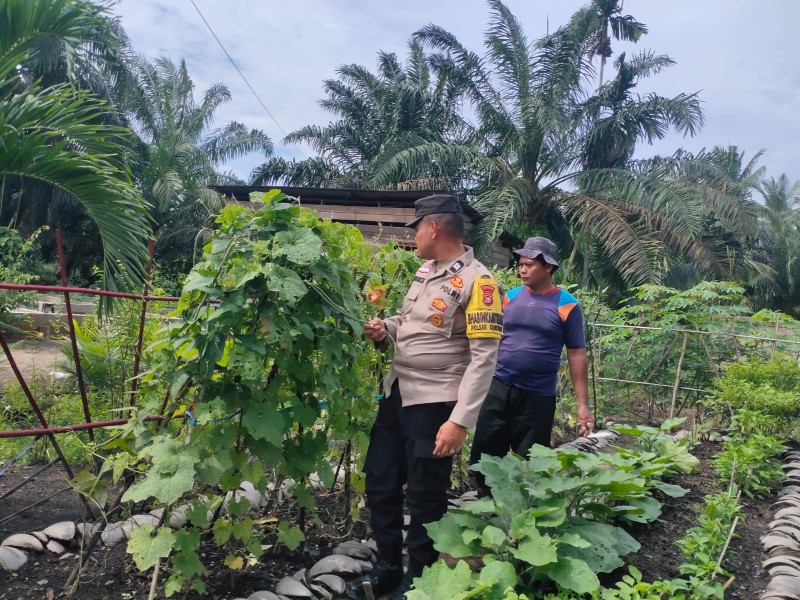 Aksi Nyata Bhabinkamtibmas Polsek Keritang, Kuatkan Ekonomi Warga Lewat Lahan Produktif