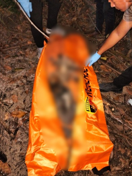 Kerangka Manusia Ditemukan di Lahan Warga Minas, Polisi Lakukan Penyelidikan Intensif