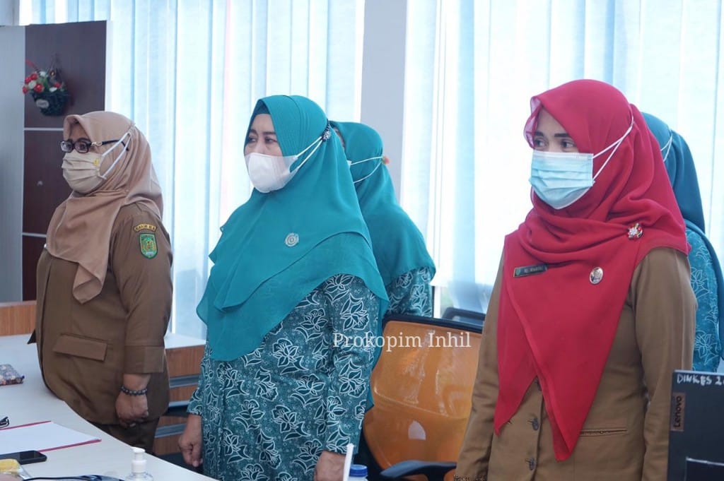 Sukseskan Vaksinasi Covid-19, TP PKK Inhil Ikuti Sosialisasi Tajaan DPKPMKK RI