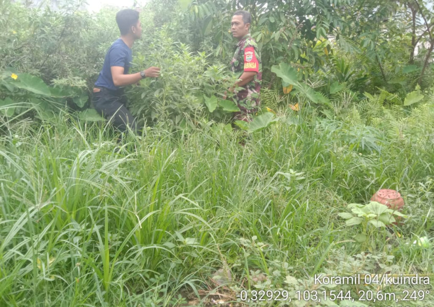 Antisipasi Kebakaran, Babinsa Koramil 04/Kuindra Turun Lakukan Patroli Karlahut