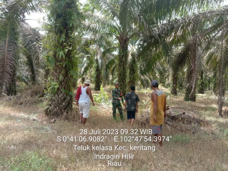 Terus Telusuri Karhutla, Babinsa Koramil 09/Kemuning Lakukan Pemantauan Terhadap Lahan dan Hutan