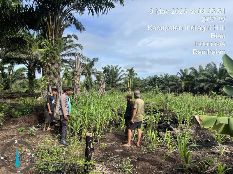 Polsek GAS di Lahan Jagung: Negara Hadir, Petani Tidak Jalan Sendiri