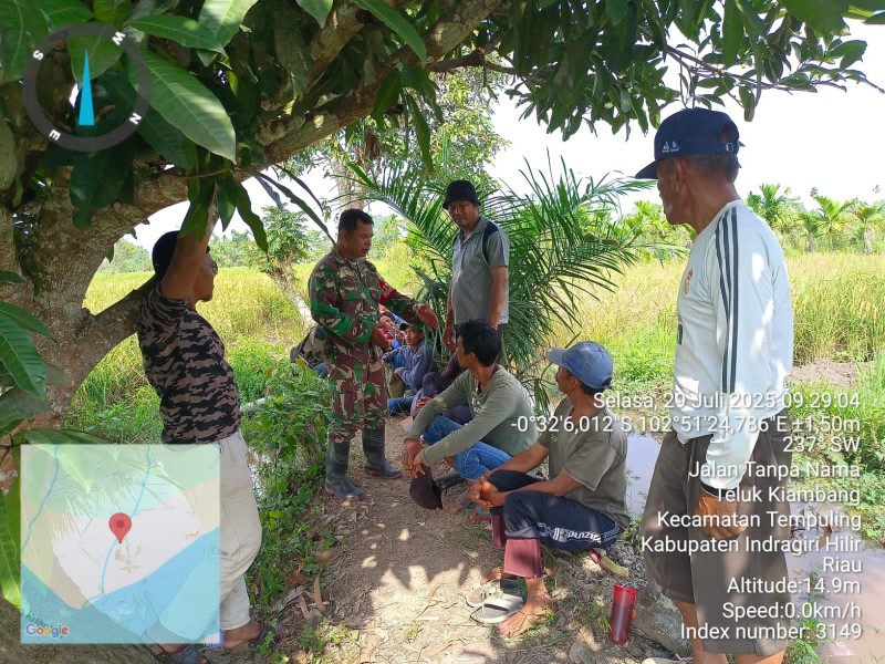 Serka N. Sipayung, Babinsa Koramil 03/Tempuling, Jalin Silaturahmi dengan Petani di Sawah, Meningkatkan Kesejahteraan dan Produktivitas Pertanian