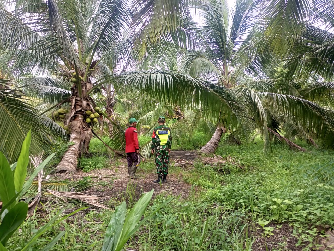 Pelaksanaan Sosialisasi Karlahut Oleh Babinsa Koramil 04/Kuindra
