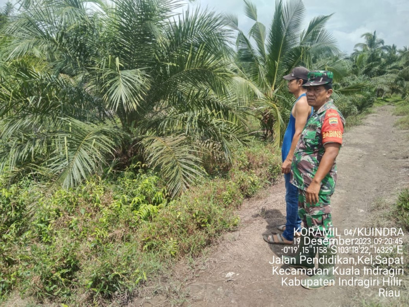 Jaga Hutan dan Lahan Melalui Patroli Rutin Bersama Babinsa Koramil 04/Kuindra