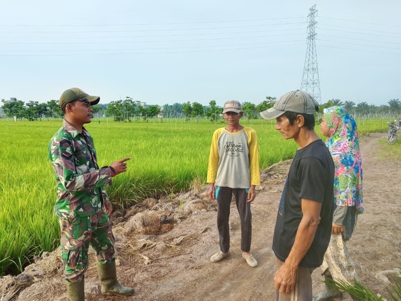 Babinsa Serda Suirwansah Berinteraksi dengan Petani di Desa Rumbai Jaya, Meningkatkan Semangat Ketahanan Pangan