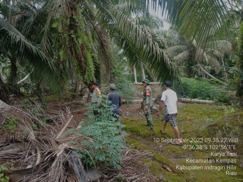 Ciptakan Kondisi Aman, Babinsa 03/Tpl Dan Bhabinkamtibmas Laksanakan Patroli Karhutla